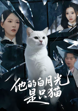 短剧《他的白月光是只猫》69集短剧全集高清资源免费看