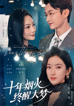 十年烟火，终醒大梦（60集）海量资源短剧免费看