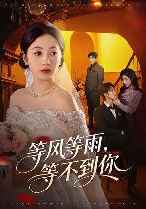 等风等雨，等不到你（65集）精彩短剧天天更新