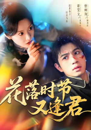 短剧《花落时节又逢君》61集短剧高清流畅观看完整版