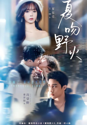 短剧《夏吻野火》80集短剧1080P在线免费观赏