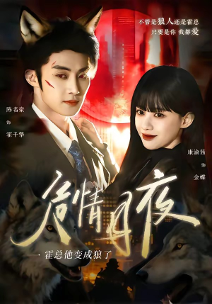 危情月夜：霍总他变成狼了（70集）这个短剧太好看了