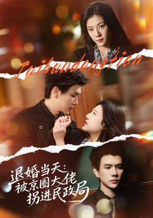 退婚当天：被京圈大佬拐进民政局（80集）红果短剧免费看