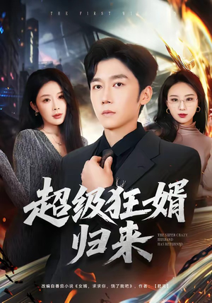 短剧《超级狂婿归来》81集短剧在线免费观看爽追到底