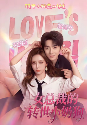 女总裁的转世小奶狗（30集）短剧全剧终合集放送