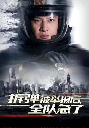 拆弹被举报后，全队急了（50集）全集免费观看的短剧资源