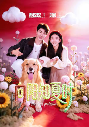 向阳知夏时（80集）好看的小短剧推荐