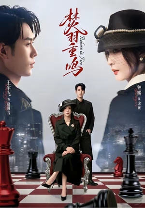 焚羽重鸣（60集）超好看的短剧追完不后悔