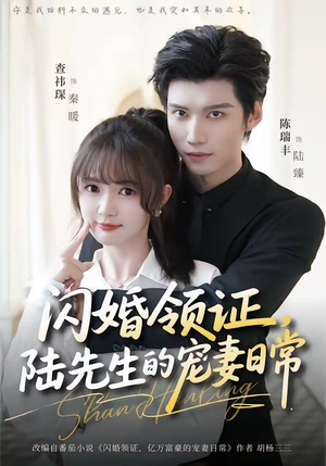 短剧《闪婚领证，陆先生的宠妻日常》86集短剧免费高清全集直通