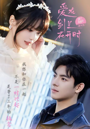 爱在剑兰花开时（56集）短剧太好看了精彩推荐