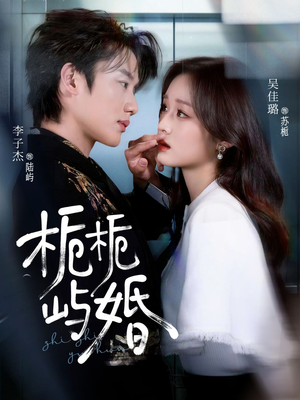 栀栀屿婚（77集）短剧更新时间一览表