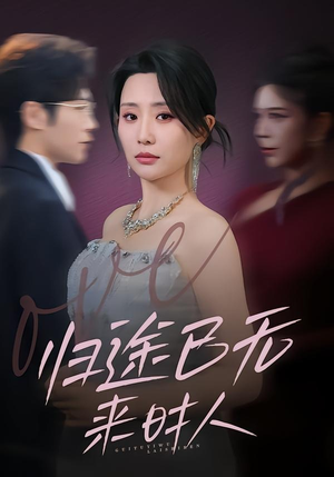 归途已无来时人（70集）热播短剧持续更新