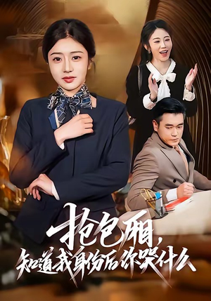 抢包厢，知道我身份后你哭什么（70集）免费看短剧全集