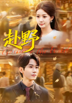 赴野（40集）这部短剧我爱了