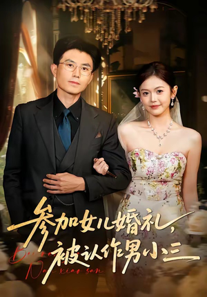 短剧《参加女儿婚礼，被认作男小三》36集短剧1080P在线免费看