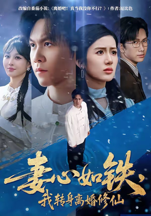 妻心如铁，我转身离婚修仙（81集）一毛不花看完了整部短剧