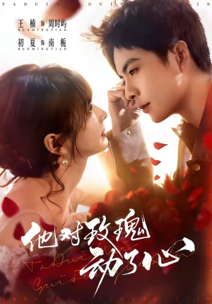 他对玫瑰动了心（68集）全部免费看短剧网站