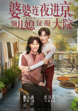 短剧《婆婆连夜进京，领儿媳征服大院》78集短剧全集免费在线追