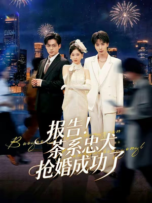 短剧《报告！茶系忠犬抢婚成功了》83集短剧全集无删减免费看