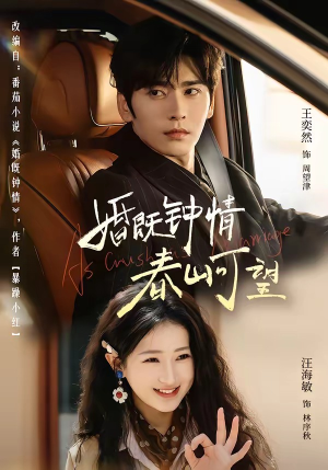 短剧《热恋，从新婚开始》91集短剧1080P在线免费赏