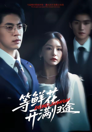 短剧《等鲜花开满归途》61集短剧全集免费在线解锁看