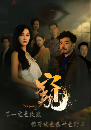 短剧《窥＆窥伺》37集短剧高清无删减在线免费看
