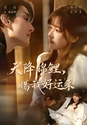 短剧《天降锦鲤，赐我好运来》60集短剧完整版免费畅享