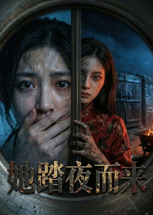短剧《她踏夜而来》40集短剧超清画质在线观看