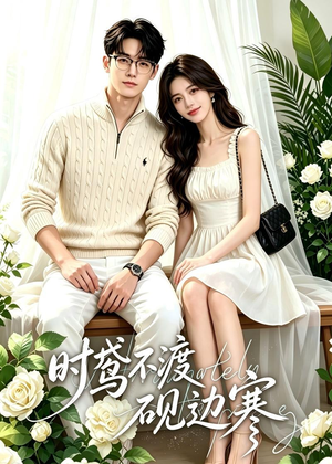 短剧《时鸢不渡砚边寒》41集短剧全集高清在线播放