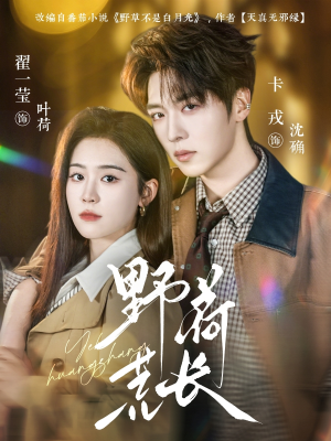 野荷荒长（86集）热门火爆短剧推荐