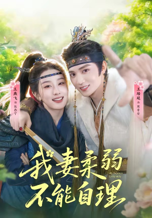 我妻柔弱不能自理（72集）在线免费观看排行榜前十短剧