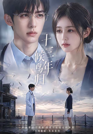 短剧《十三年，候鸟归》40集短剧1080P在线免费观影
