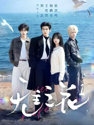 短剧《无主之花1》72集短剧超清画质全集免费看