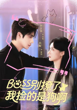 短剧《Boss别撩了，我捡的是狗呀》65集短剧完整版免费畅享
