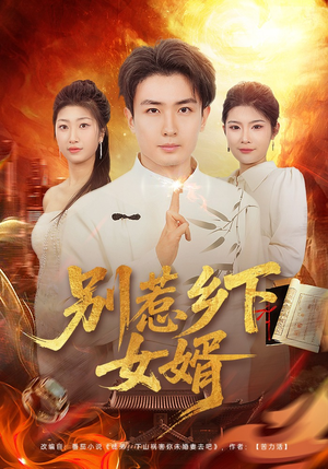 短剧《别惹乡下女婿》80集短剧网盘资源免费获取看