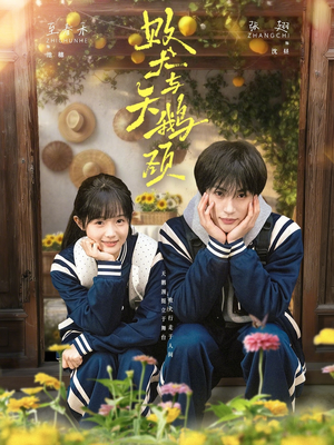 短剧《败犬与天鹅颈》71集短剧无删减在线免费看