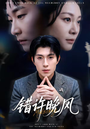 错许晚风（60集）全网短剧抢先看全集