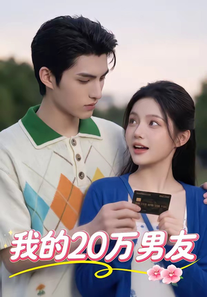 我的20万男友（30集）热播短剧抢先看大结局