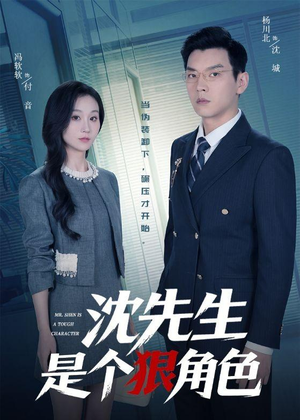 沈先生是个狠角色（50集）排行榜前十短剧任你看