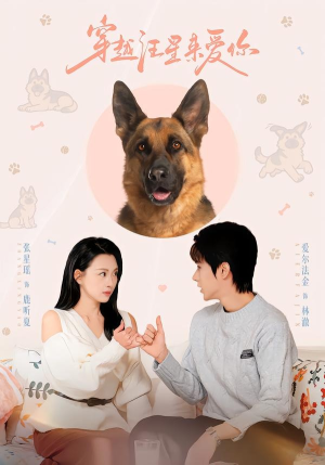 穿越汪星来爱你（62集）海量资源短剧免费看