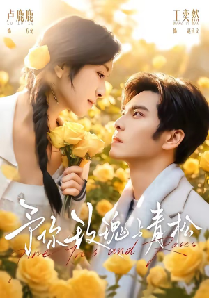 短剧《予你玫瑰与青松》95集短剧在线解锁全集观看
