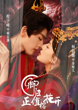 短剧《卿归正值榕花开》70集短剧完整版免费畅享观看