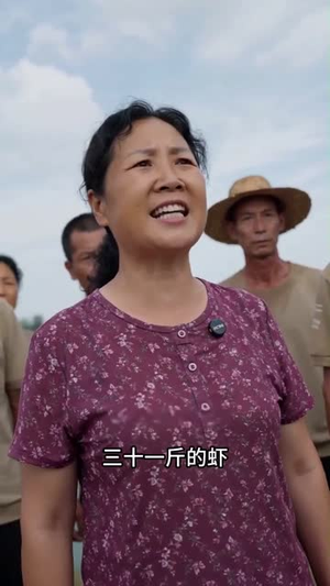 好心帮虾农清货，他们骂我吃相难看（54集）点击链接观看完整版短剧