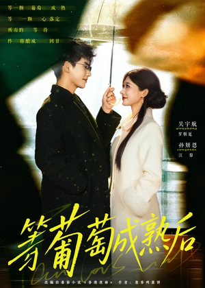 短剧《等葡萄成熟后》82集短剧高清在线无广告观看