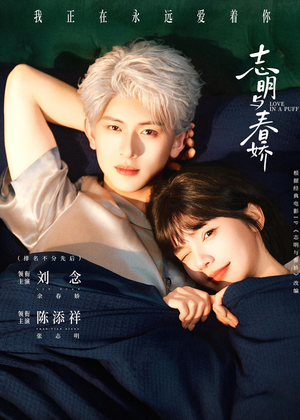 短剧《志明与春娇》60集短剧免费解锁全集畅快观看