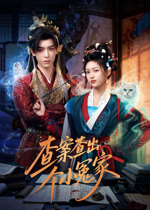 查案查出个小冤家（90集）短剧全集高清无码版