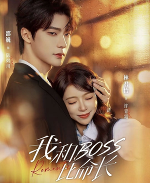 短剧《我和boss比命长》50集短剧在线畅享全集观看