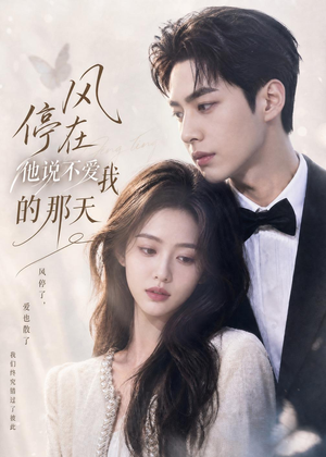 短剧《风停在他说不爱我的那天》40集短剧超清画质在线追剧