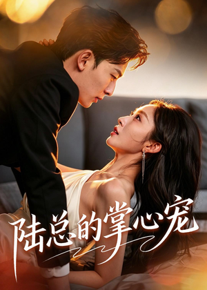 短剧《陆总的掌心宠》85集短剧高清无删减在线观看