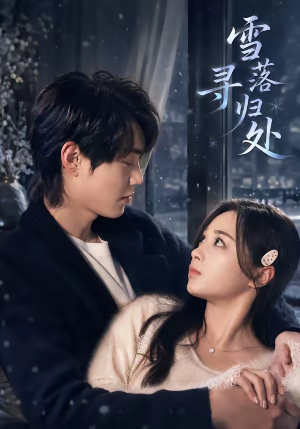 短剧《雪落寻归处》60集短剧高清在线观看无广告